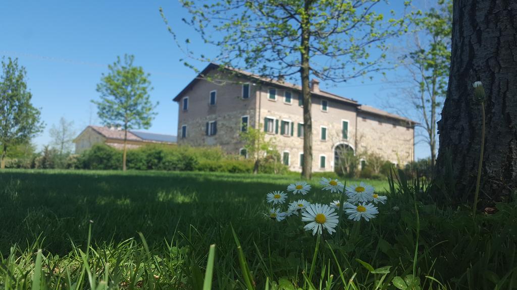 Agriturismo Il Brugnolo Scandiano Exterior foto